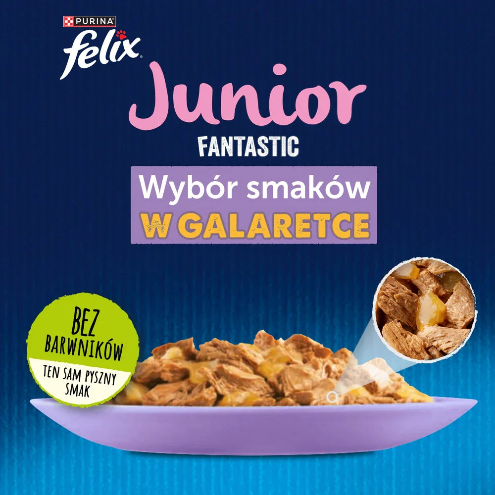 FELIX Fantastic Junior i gelé 12x85g