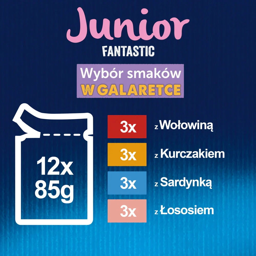 FELIX Fantastic Junior i gelé 12x85g