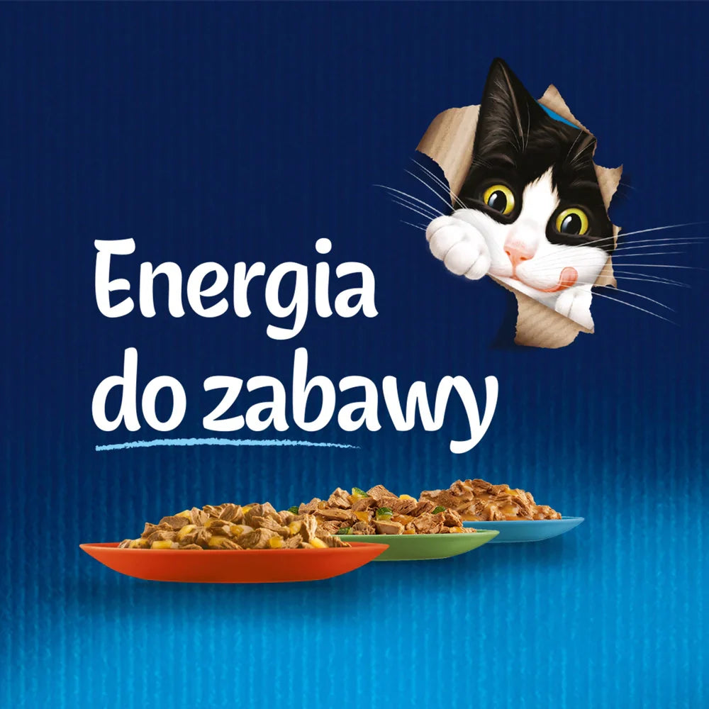 FELIX Łosoś i gelé - påse 26 x 85g